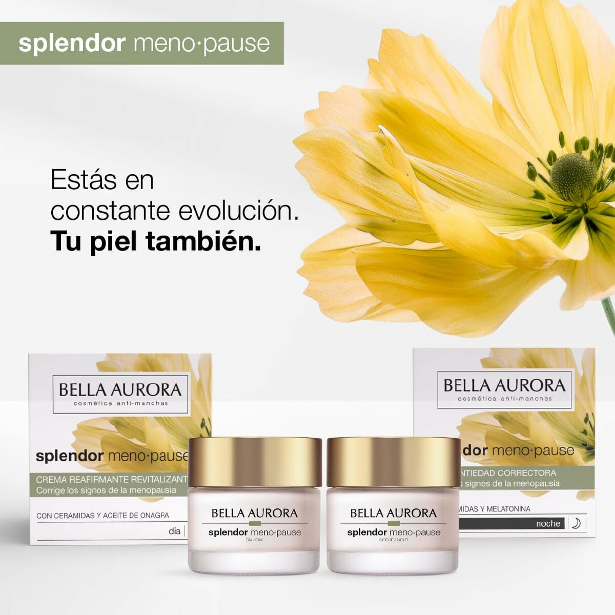 Gezichtscrème Bella Aurora BELLA AURORA SPLENDOR 50 ml - Schoonheid, Huidverzorging - Bella Aurora
