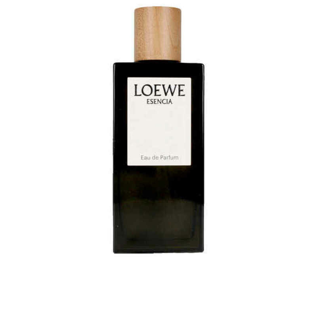 Herenparfum Loewe E001-21P-022987 100 ml