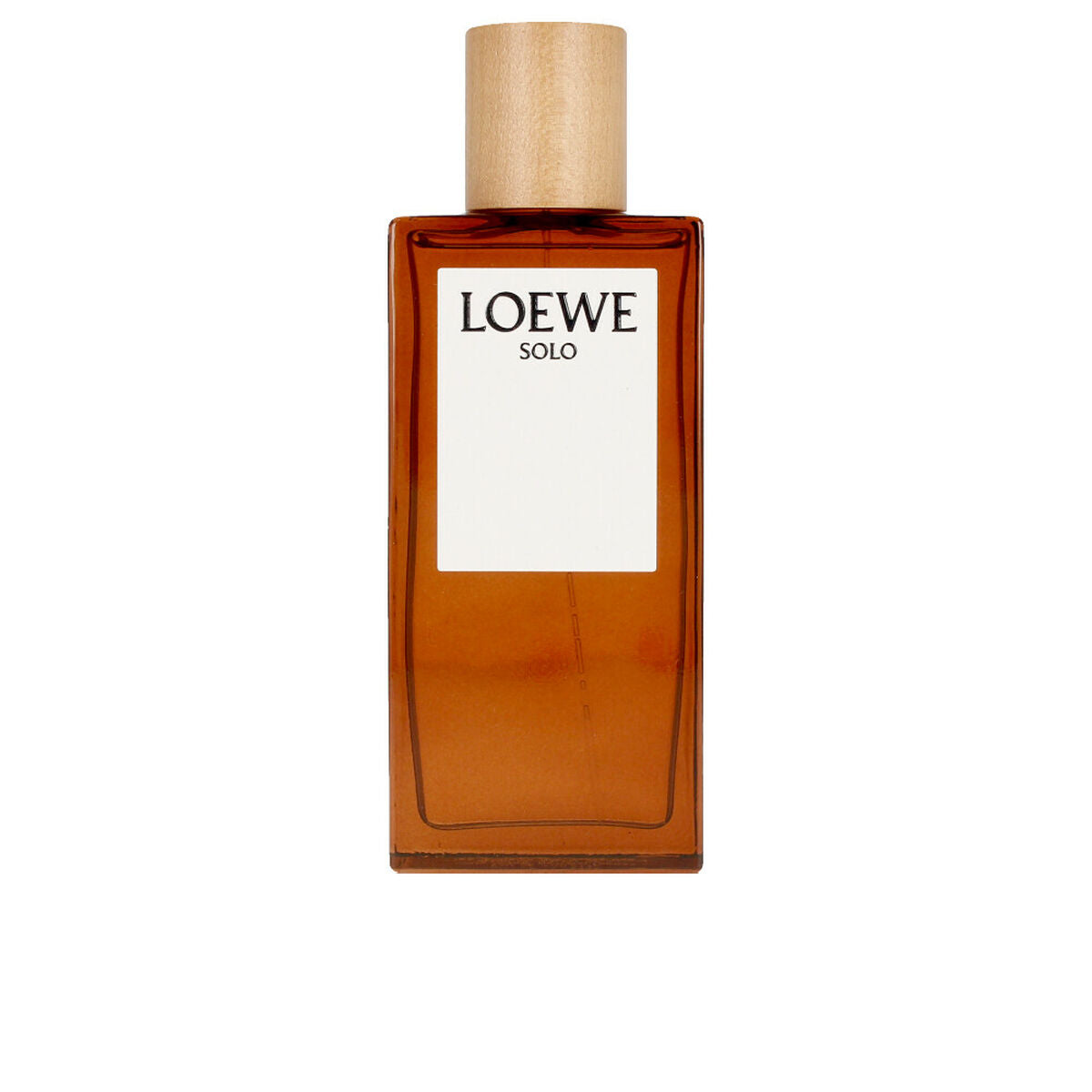 Herenparfum Loewe Solo EDT 100 ml