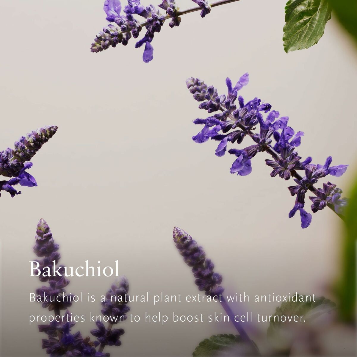 Schoonheidsset Rituals THE RITUAL OF NAMASTE 5 Onderdelen