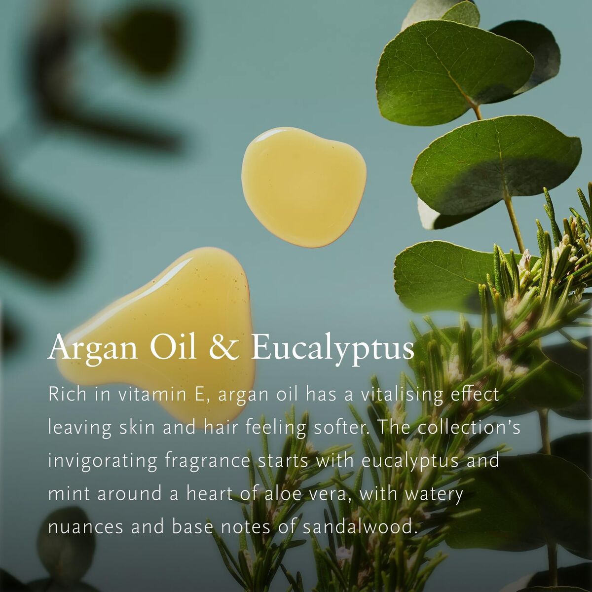 V2H6B706E85D7E40958C2BC0BB9C724CE21R7591242P3