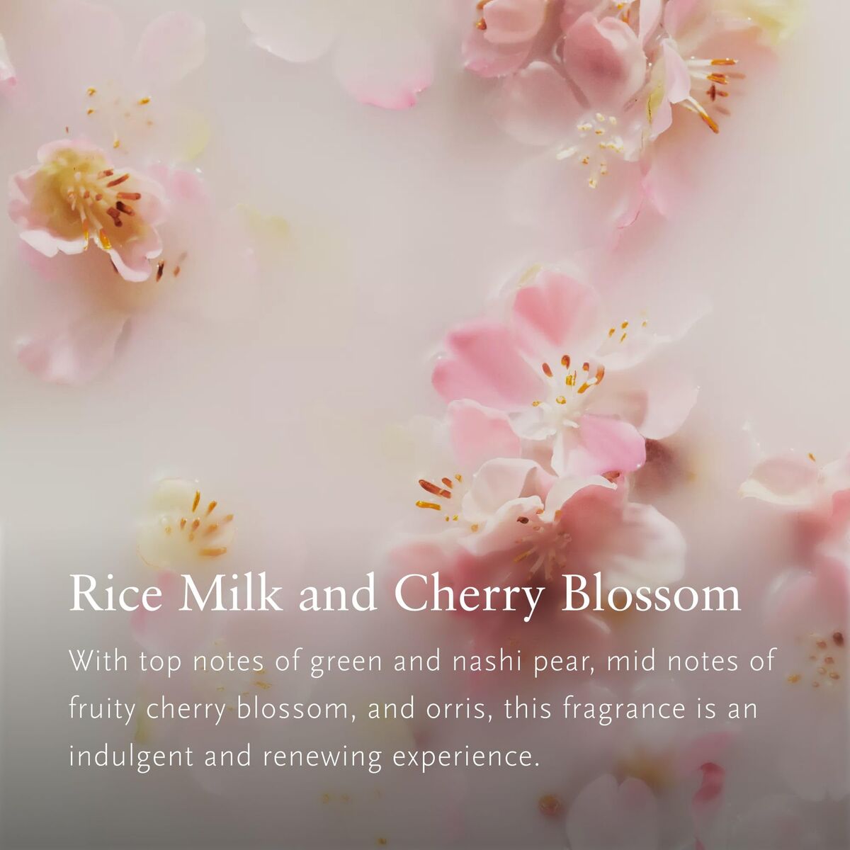 Cosmeticaset voor Dames Rituals THE RITUAL OF SAKURA 4 Onderdelen - Schoonheid, Huidverzorging - Rituals
