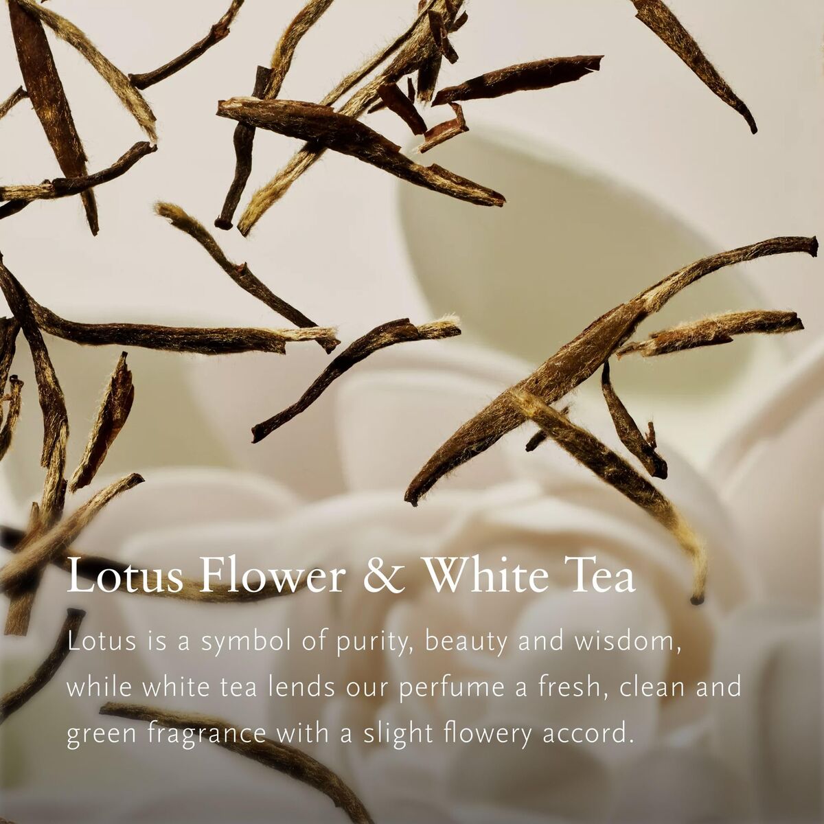 Body Lotion Rituals THE RITUAL OF KARMA 5 Onderdelen