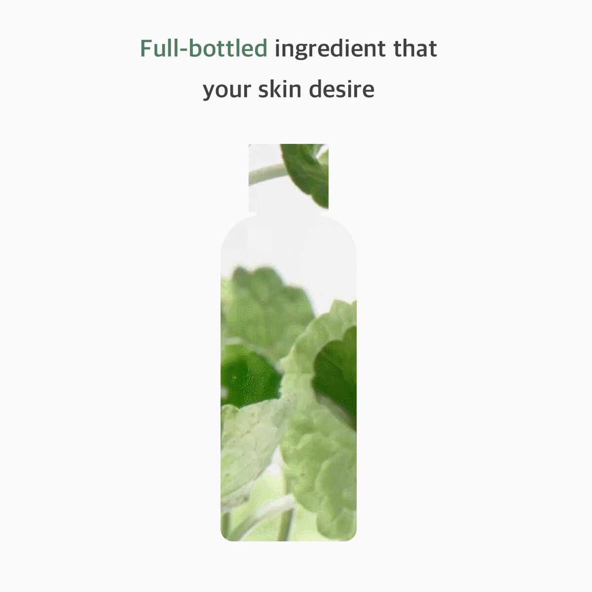 Revitaliserende Cleansing Tonic Mixsoon CENTELLA 300 ml - Schoonheid, Huidverzorging - Mixsoon