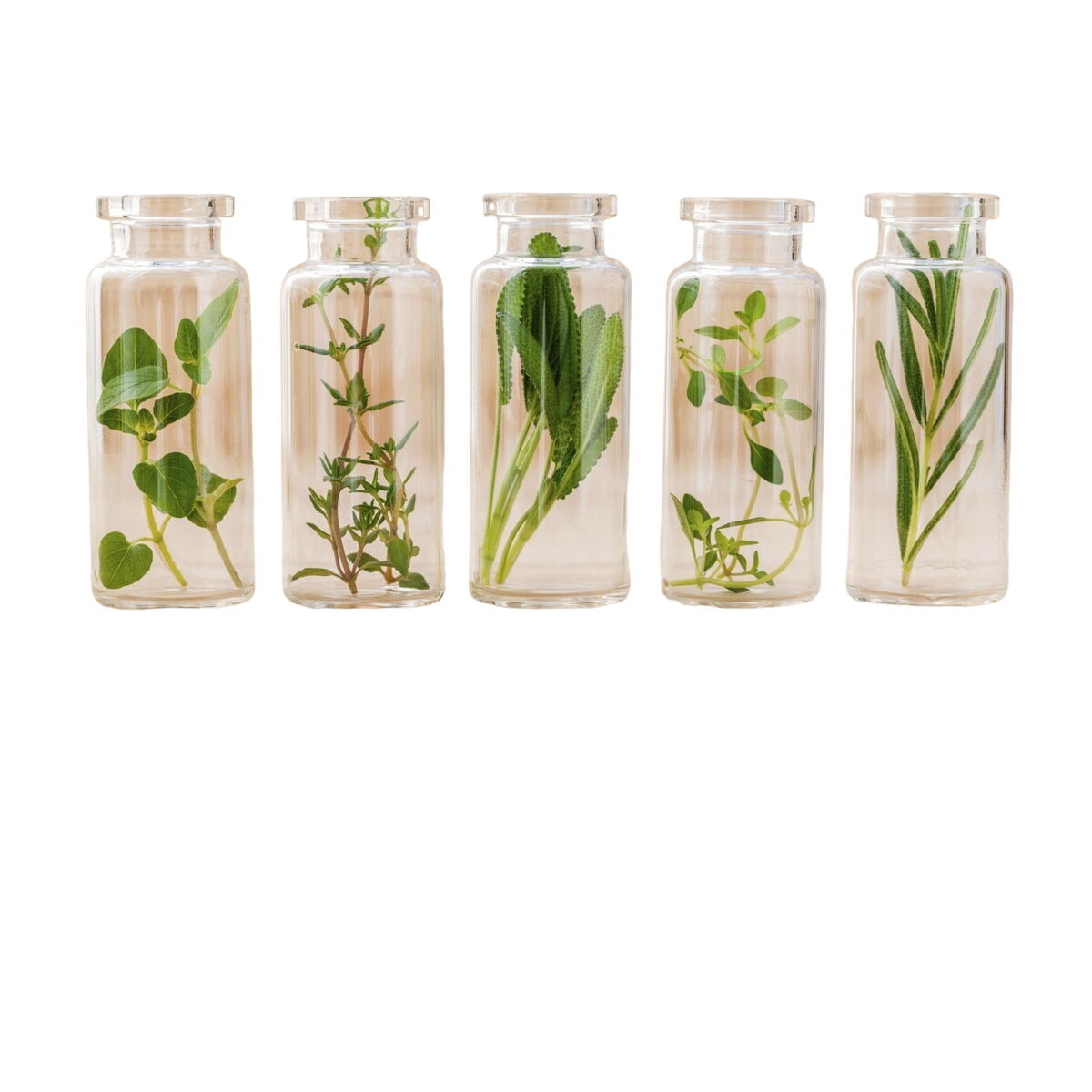 Behandelingscrème voor Spataderen 500 Cosmetics Varesil 100 ml