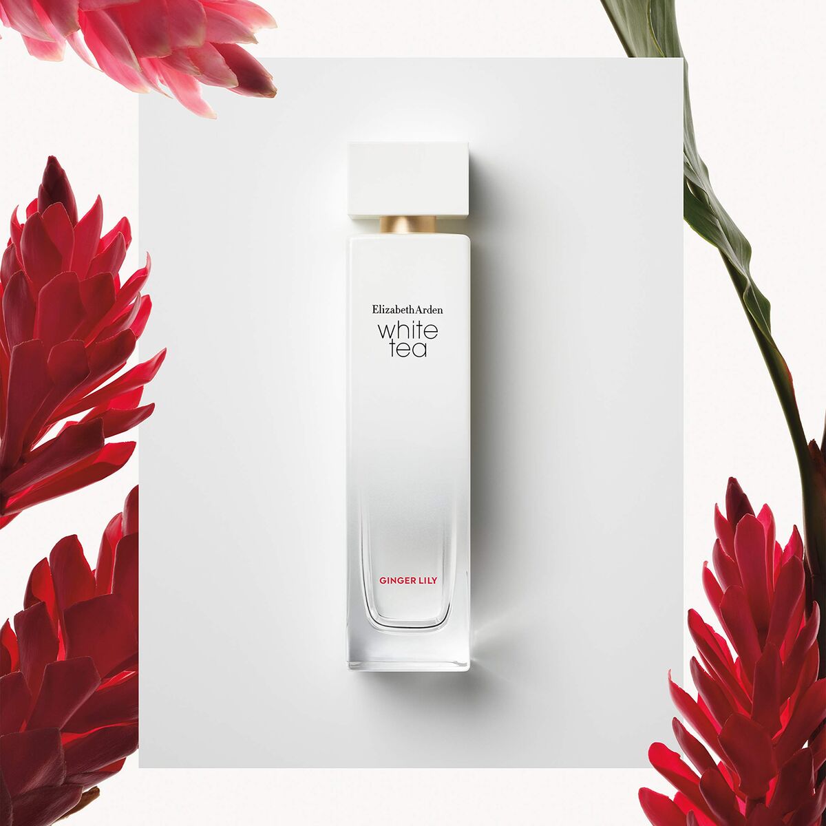 Damesparfum Elisabeth Arden WHITE TEA EDT - Schoonheid, Parfums en geuren - Elisabeth Arden