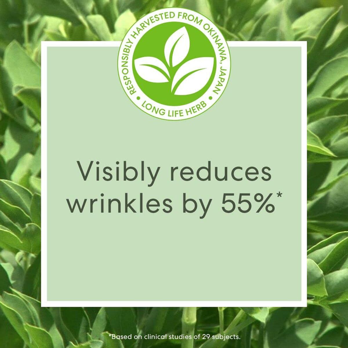 Gezichtscrème bareMinerals Skinlongevity 15 ml