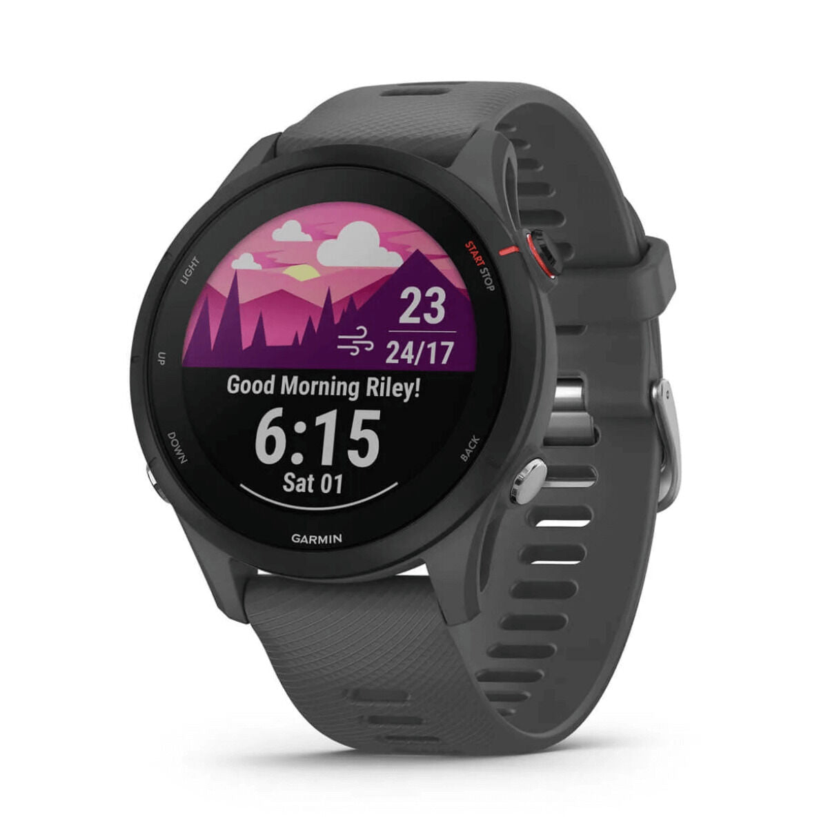 Smartwatch GARMIN Forerunner 255 Grijs 1,3" 46 mm