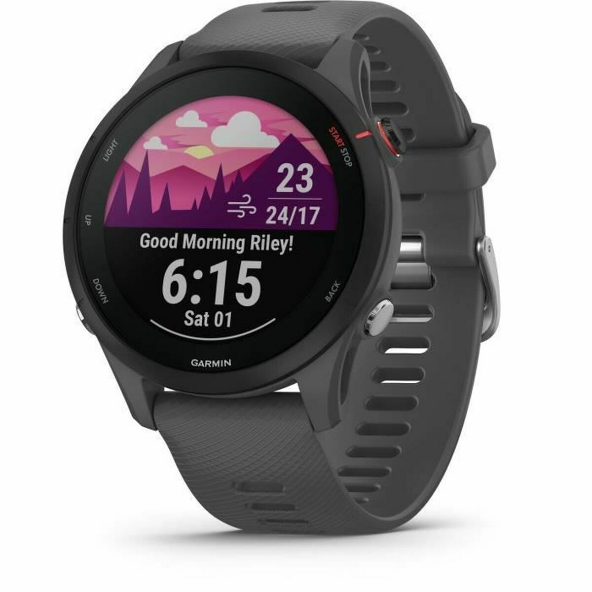 Smartwatch GARMIN Forerunner 255 Grijs 1,3" 46 mm - Elektronica - GARMIN