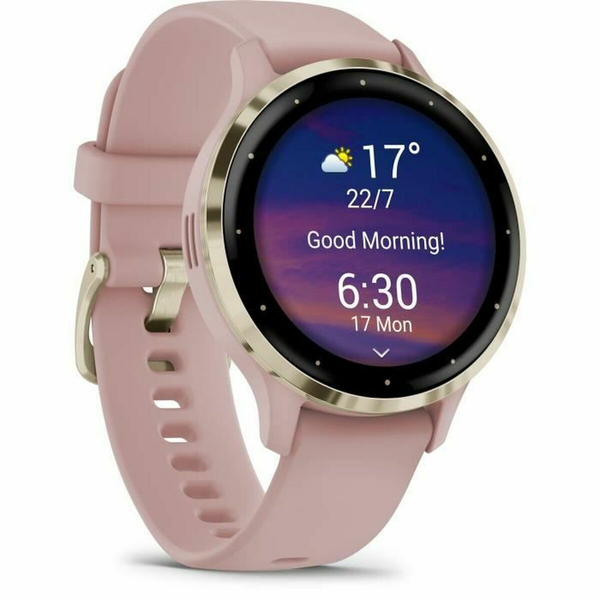 Smartwatch GARMIN Venu 3S Grijs 1,2"