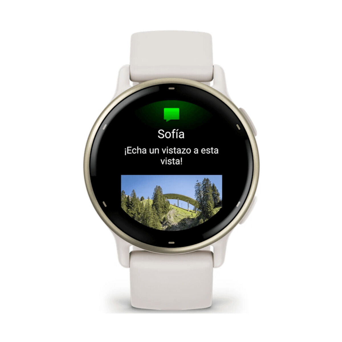 Horloge Heren GARMIN 010 - 02862 - 11 Wit 1,2" - Elektronica - Garmin