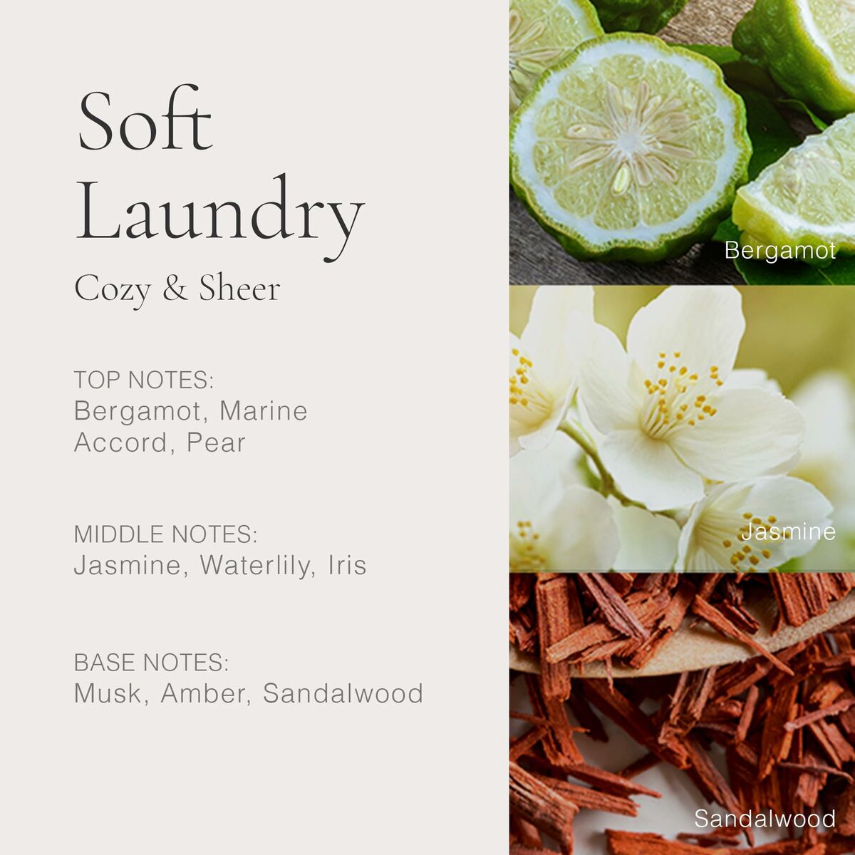 Uniseks Parfum Clean