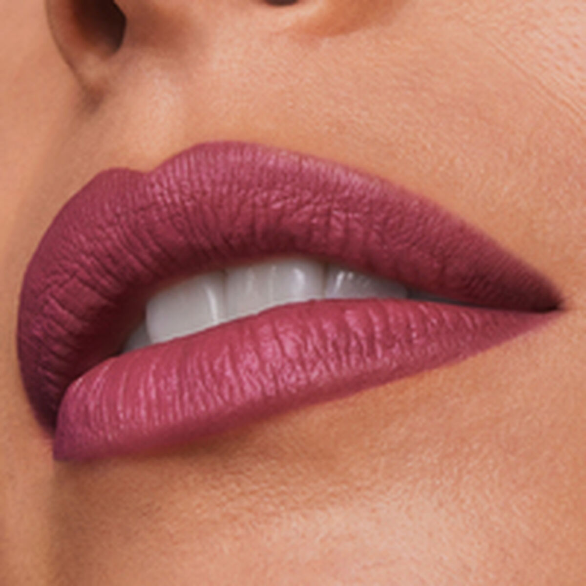 Lippenstift Estee Lauder Pure Color Maryland 3,5 g - Schoonheid, Make - up - Estee Lauder