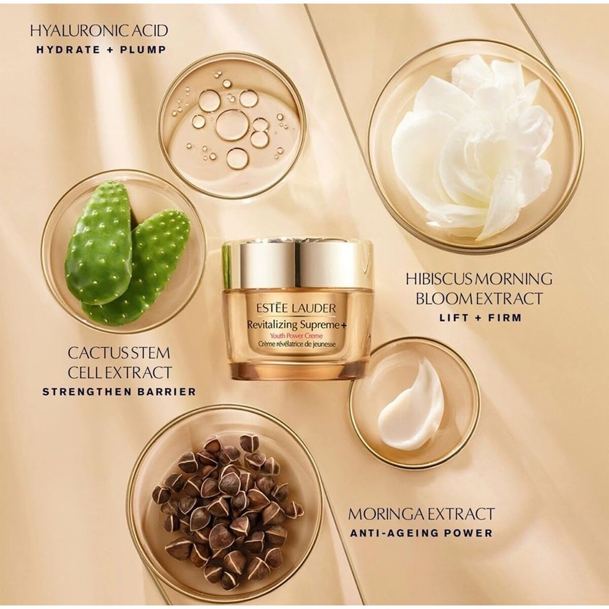 Cosmeticaset voor Dames Estee Lauder RESILIENCE 4 Onderdelen