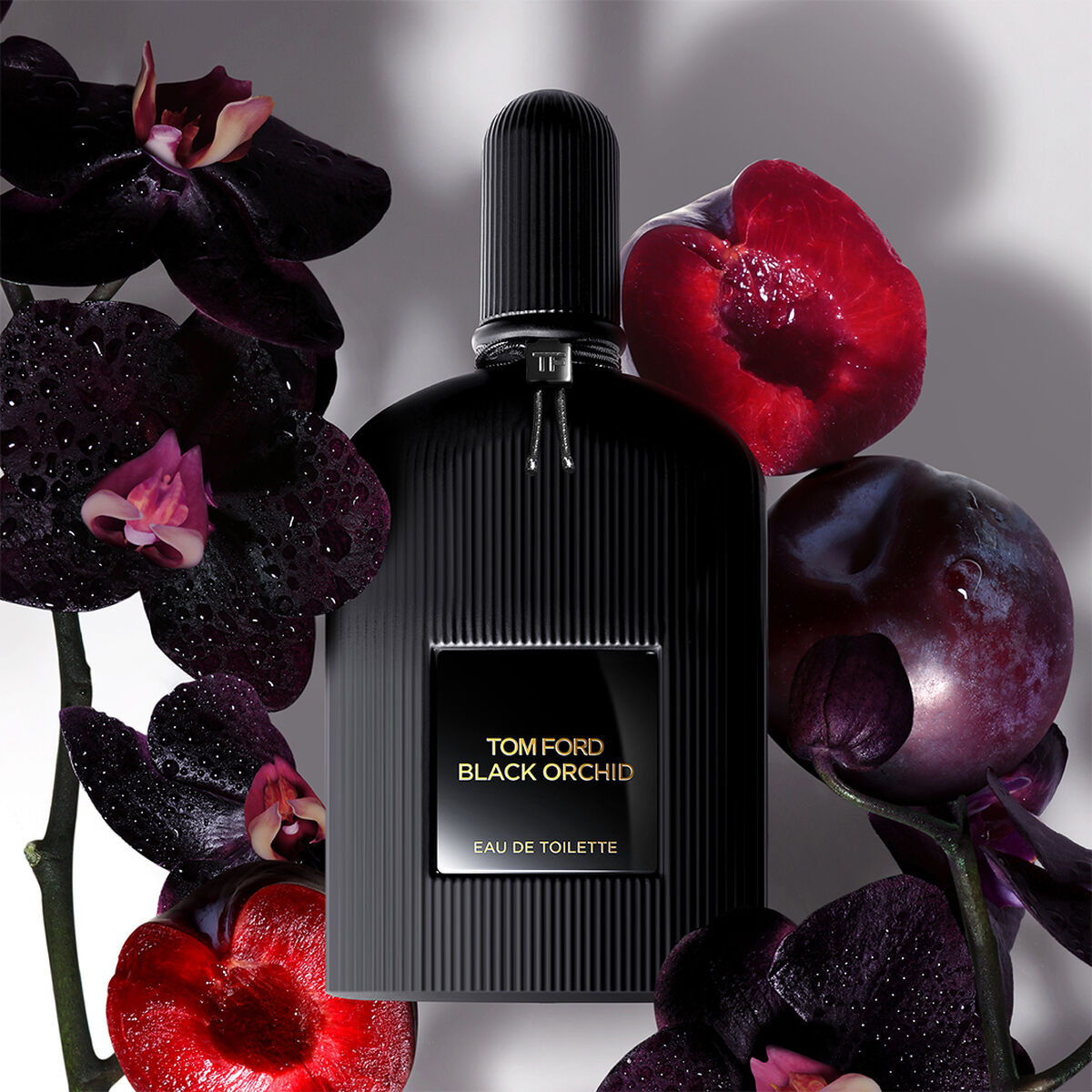 Damesparfum Tom Ford BLACK ORCHID Black Orchid EDT 100 ml - Schoonheid, Parfums en geuren - Tom Ford