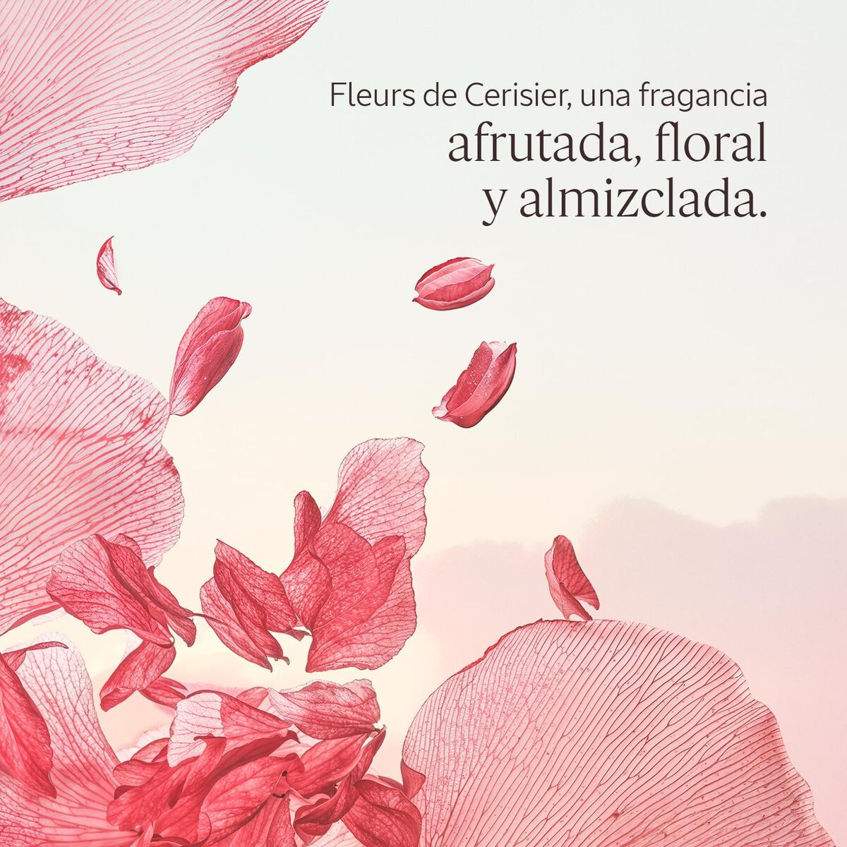 Damesparfum L'Occitane En Provence FLEURS DE CERISIER EDT 50 ml - Schoonheid, Parfums en geuren - L'Occitane En Provence