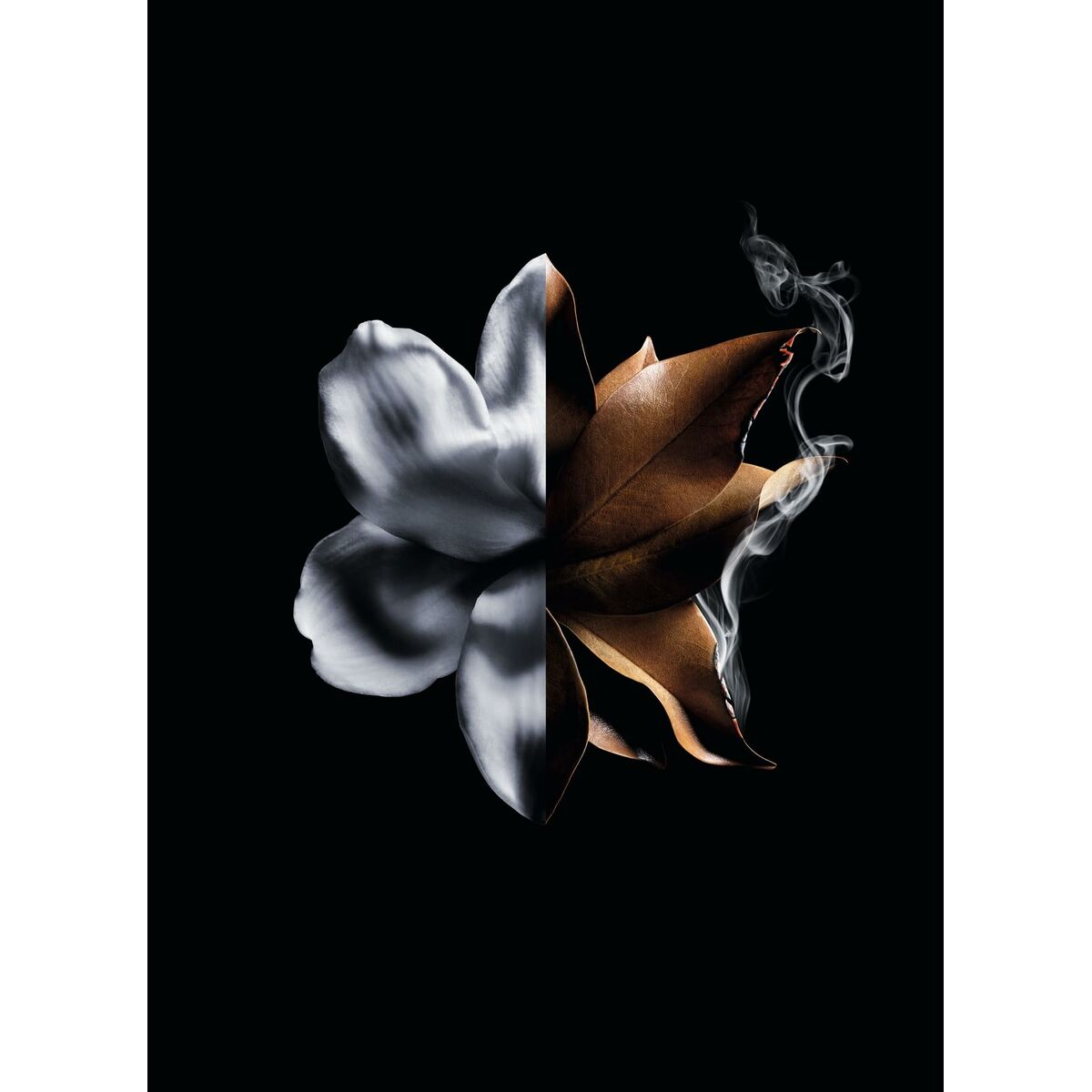 Damesparfum Givenchy L'Interdit Absolu L'Interdit Absolu 50 ml