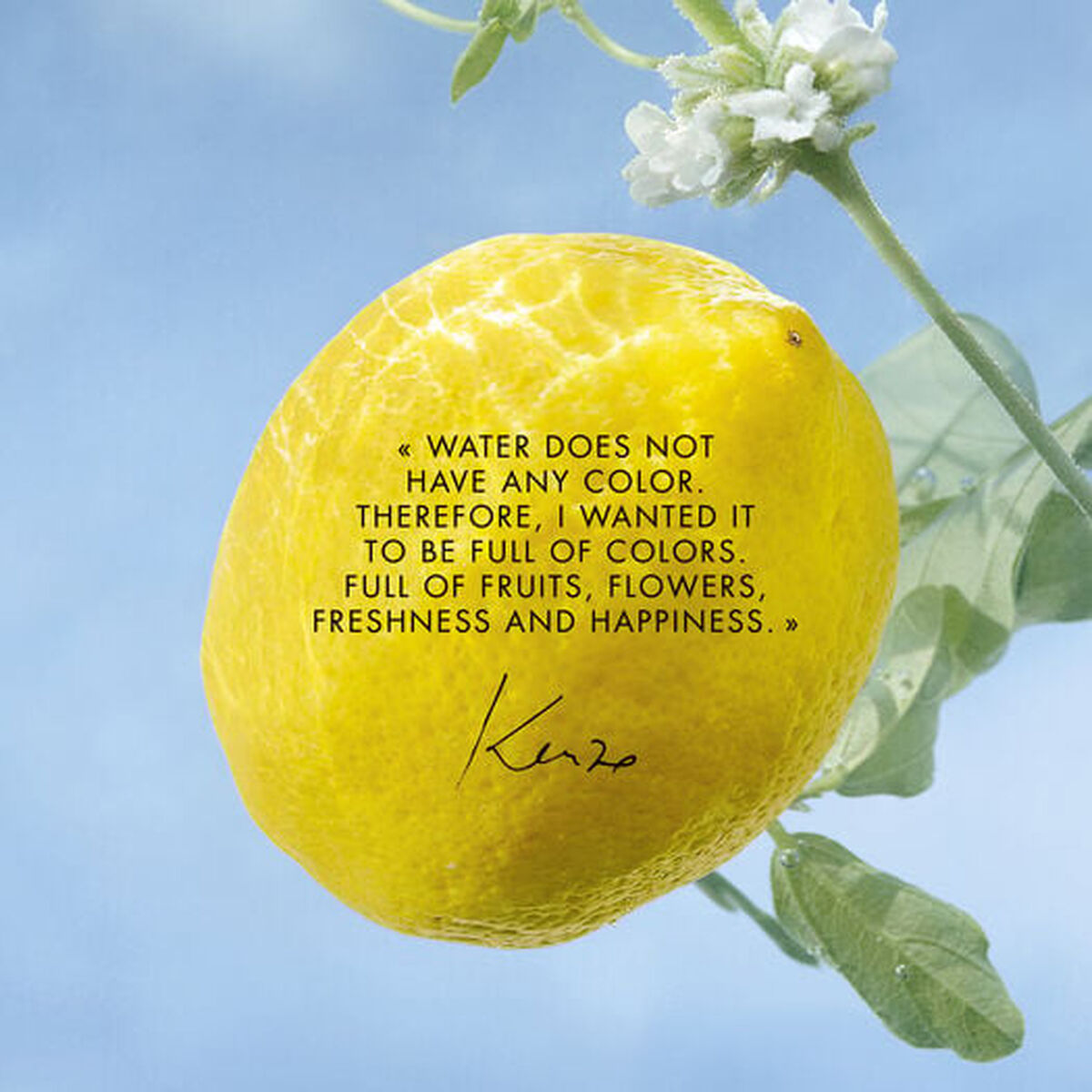 Uniseks Parfum Kenzo L'EAU PURE 30 ml