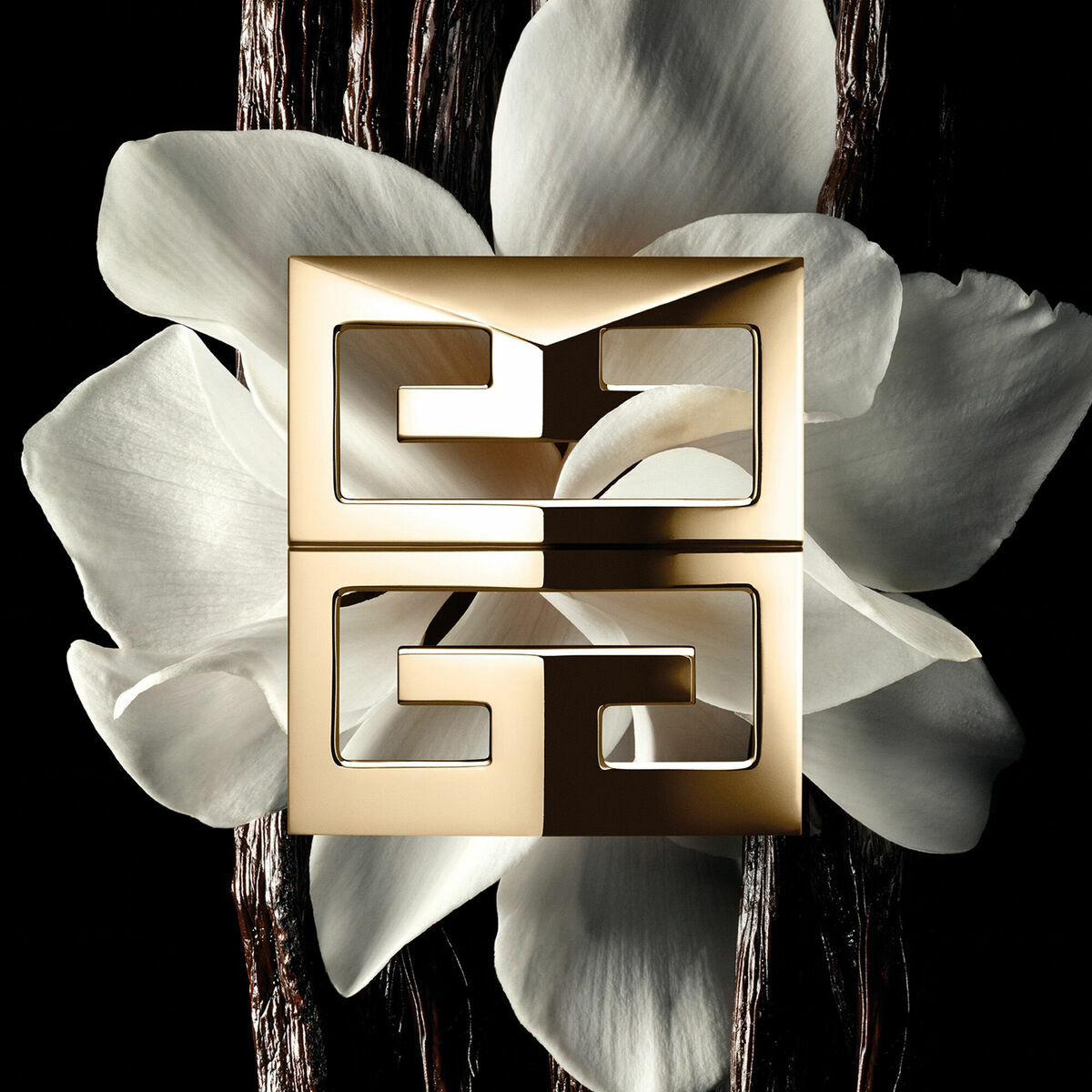 Herenparfum Givenchy GENTLEMAN SOCIETY EDP 100 ml - Schoonheid, Parfums en geuren - Givenchy