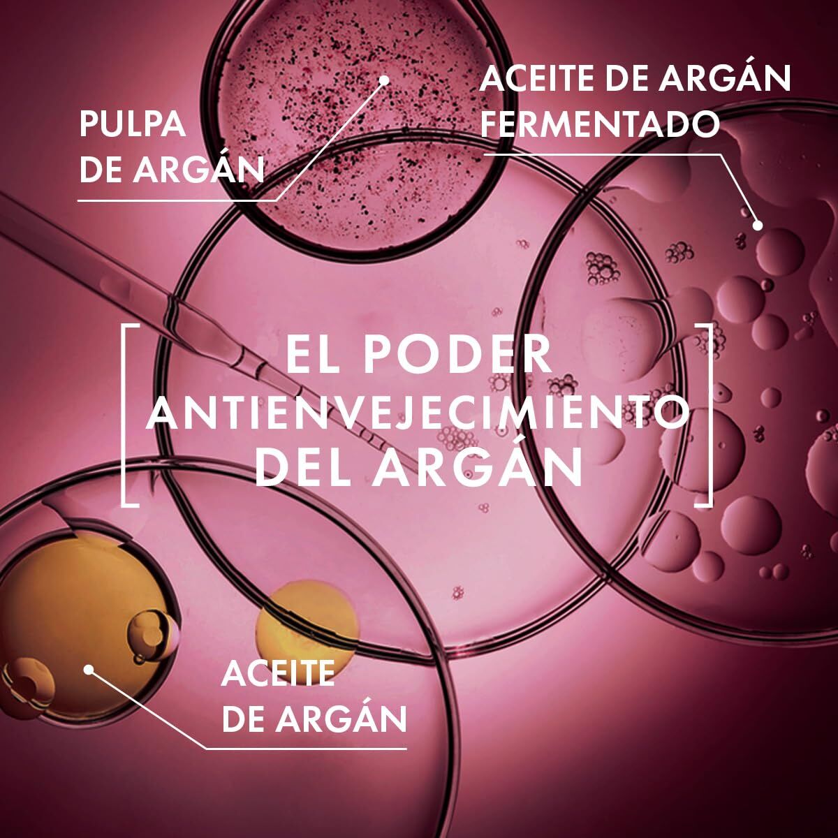 Vochtinbrengende Nachbalsem Melvita ARGÁN BIO 50 ml