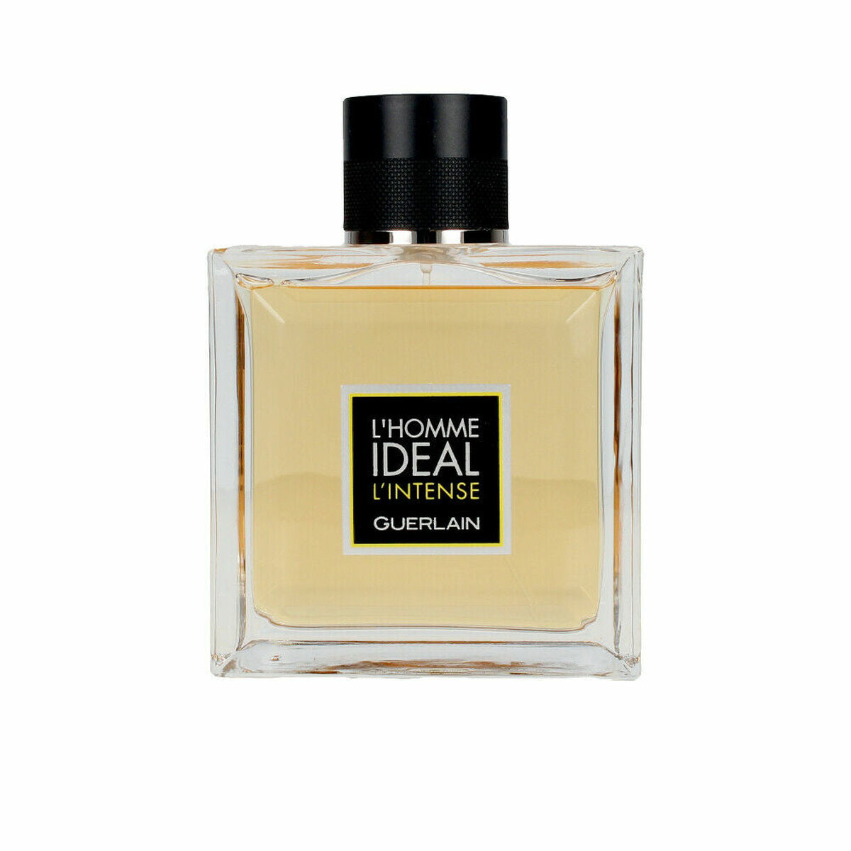 Herenparfum Guerlain G013491 EDP 100 ml
