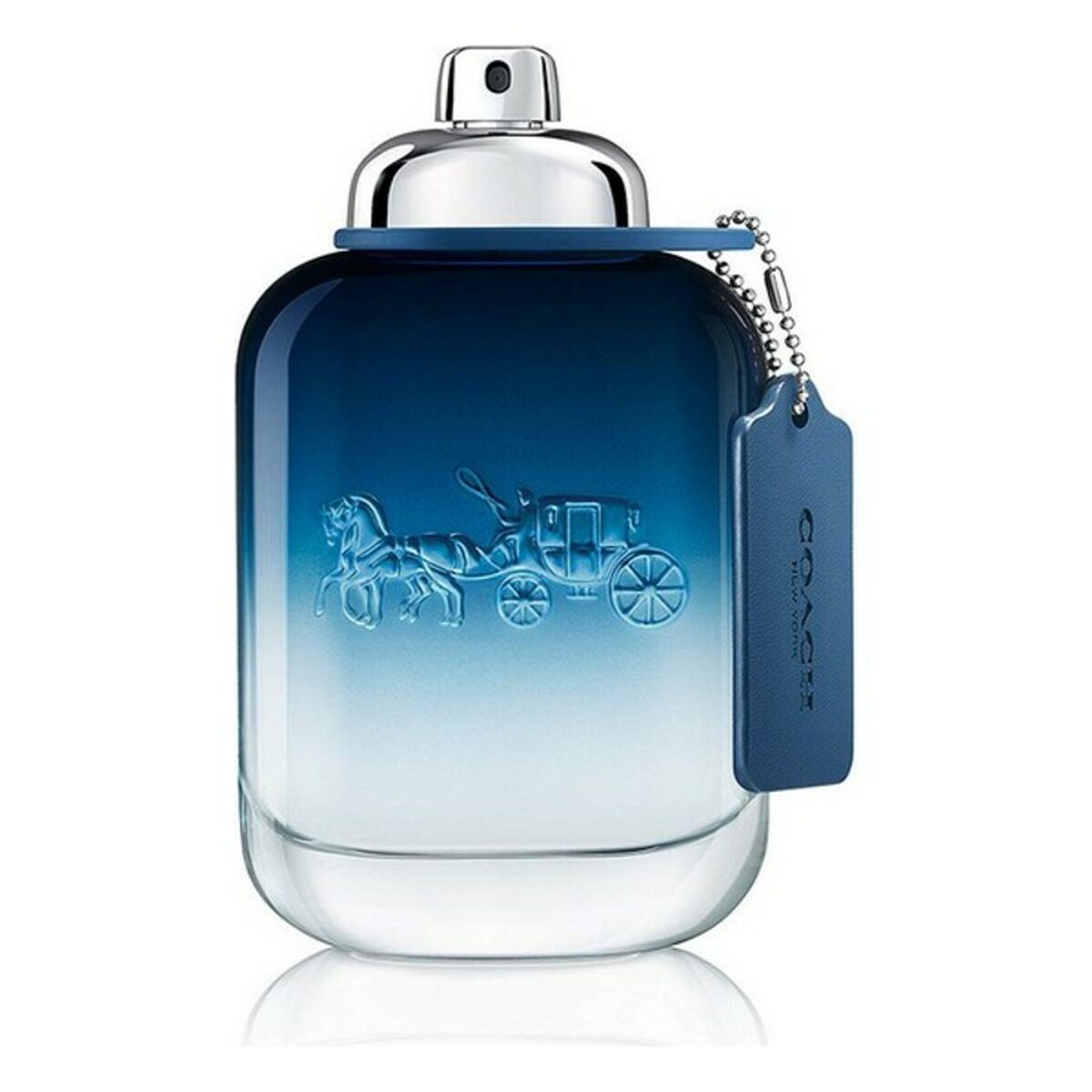Herenparfum Coach Coach Blue EDT 100 ml - Schoonheid, Parfums en geuren - Coach