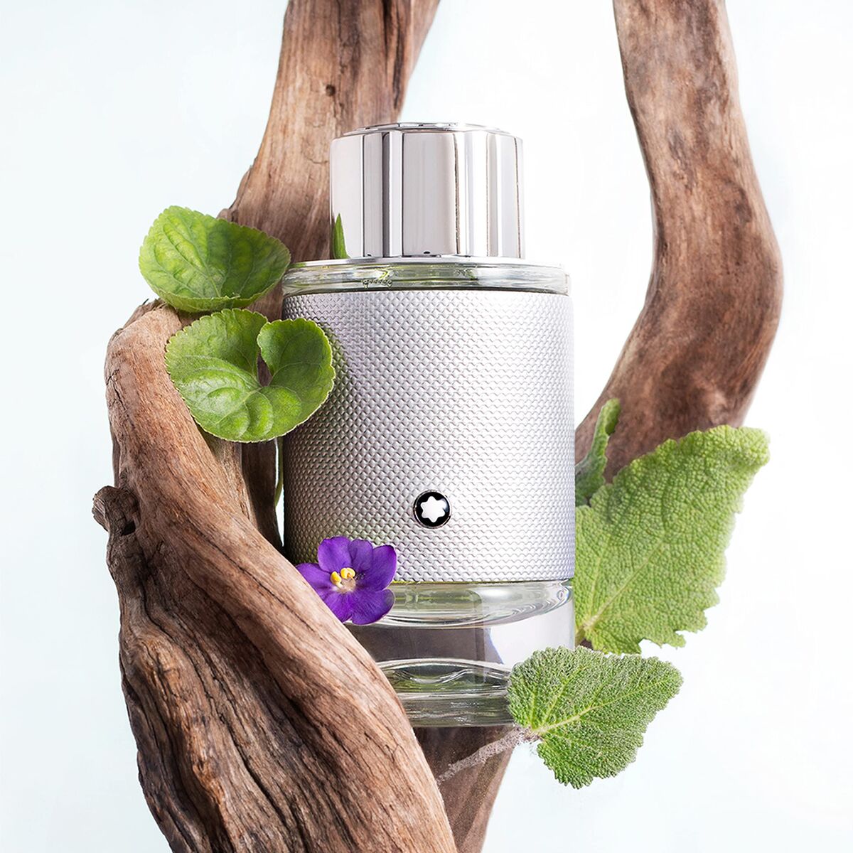 Herenparfum Montblanc Explorer Platinum EDP 30 ml - Schoonheid, Parfums en geuren - Montblanc