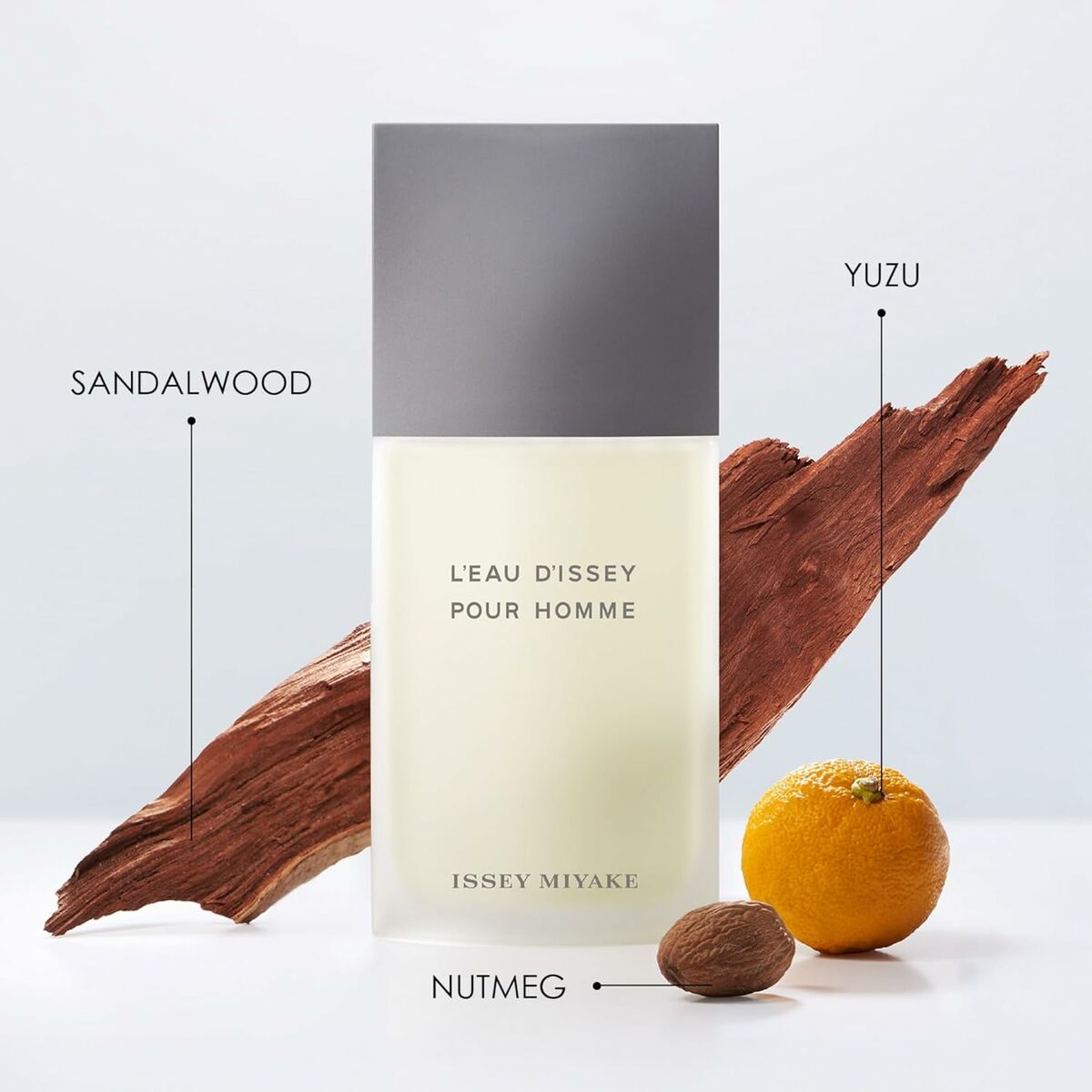 Parfumset voor Dames Issey Miyake L'EAU D'ISSEY POUR HOMME 2 Onderdelen - Schoonheid, Parfums en geuren - Issey Miyake