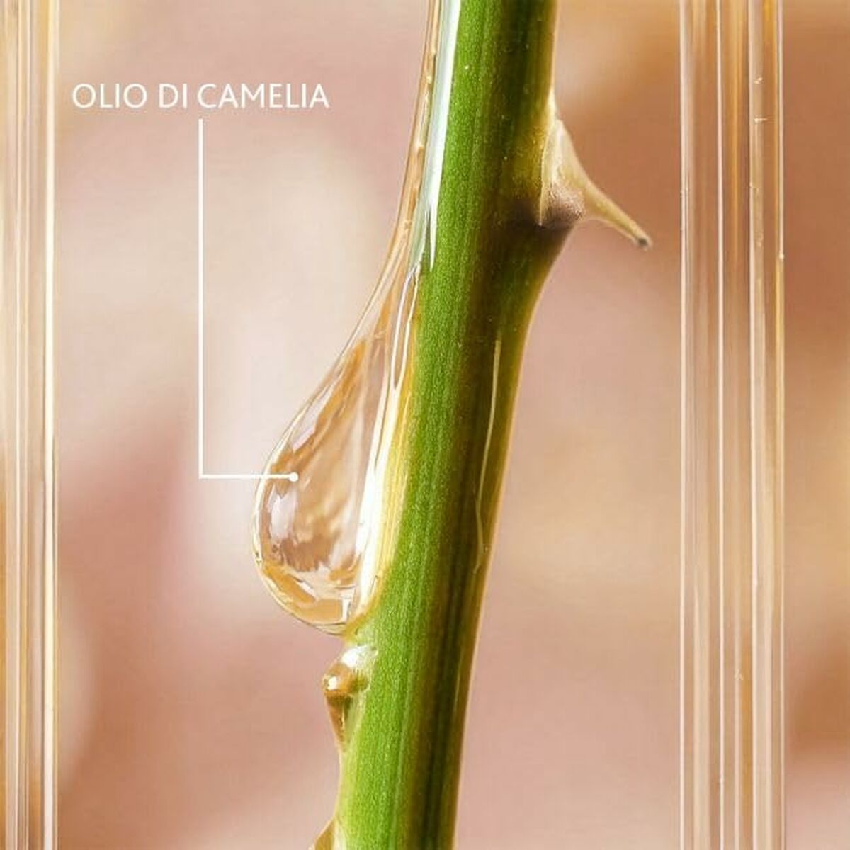 Gezichtsserum Institut Esthederm EXCELLAGE 30 ml