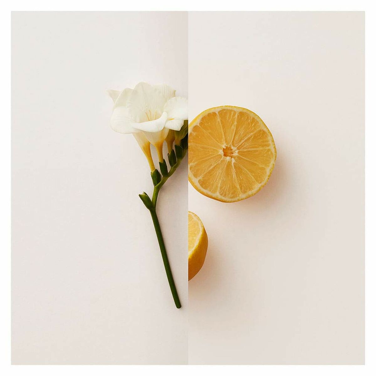 Damesparfum Burberry My Burberry EDP