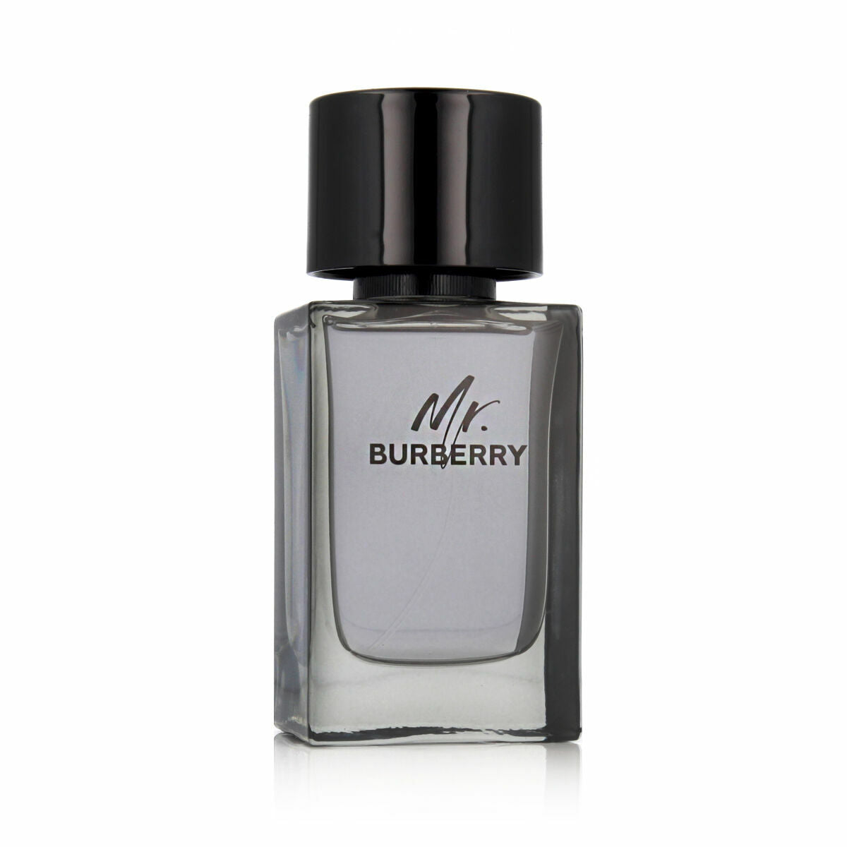 Herenparfum Burberry MR BURBERRY EDT 100 ml Mr. Burberry