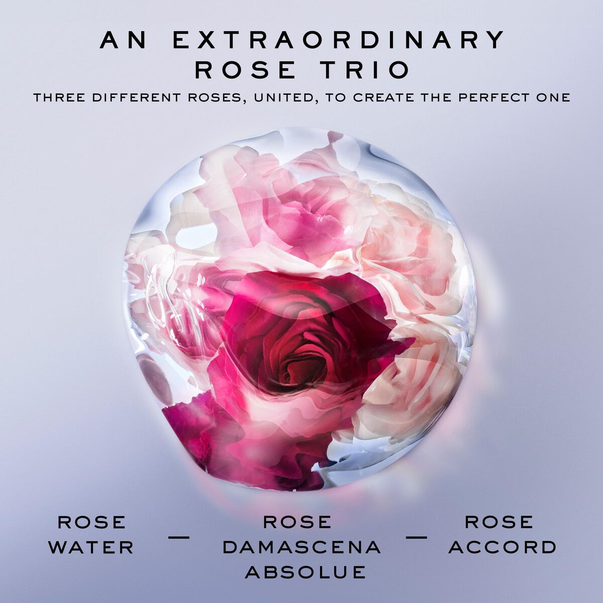 Damesparfum Lancôme La Vie Est Belle Rose Extraordinaire EDP 50 ml - Schoonheid, Parfums en geuren - Lancôme