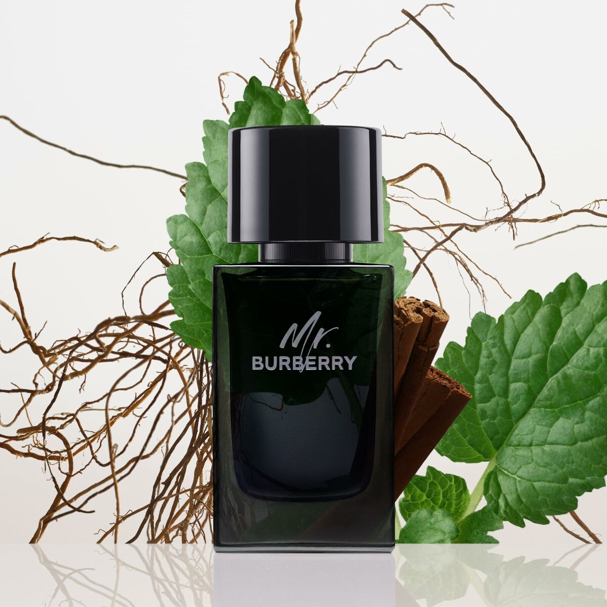 Herenparfum Burberry Mr. Burberry EDP 100 ml - Schoonheid, Parfums en geuren - Burberry