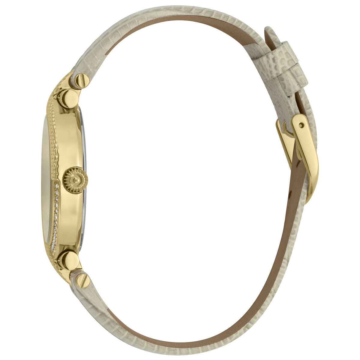 Horloge Dames Just Cavalli JC1L105L0025 (Ø 34 mm)