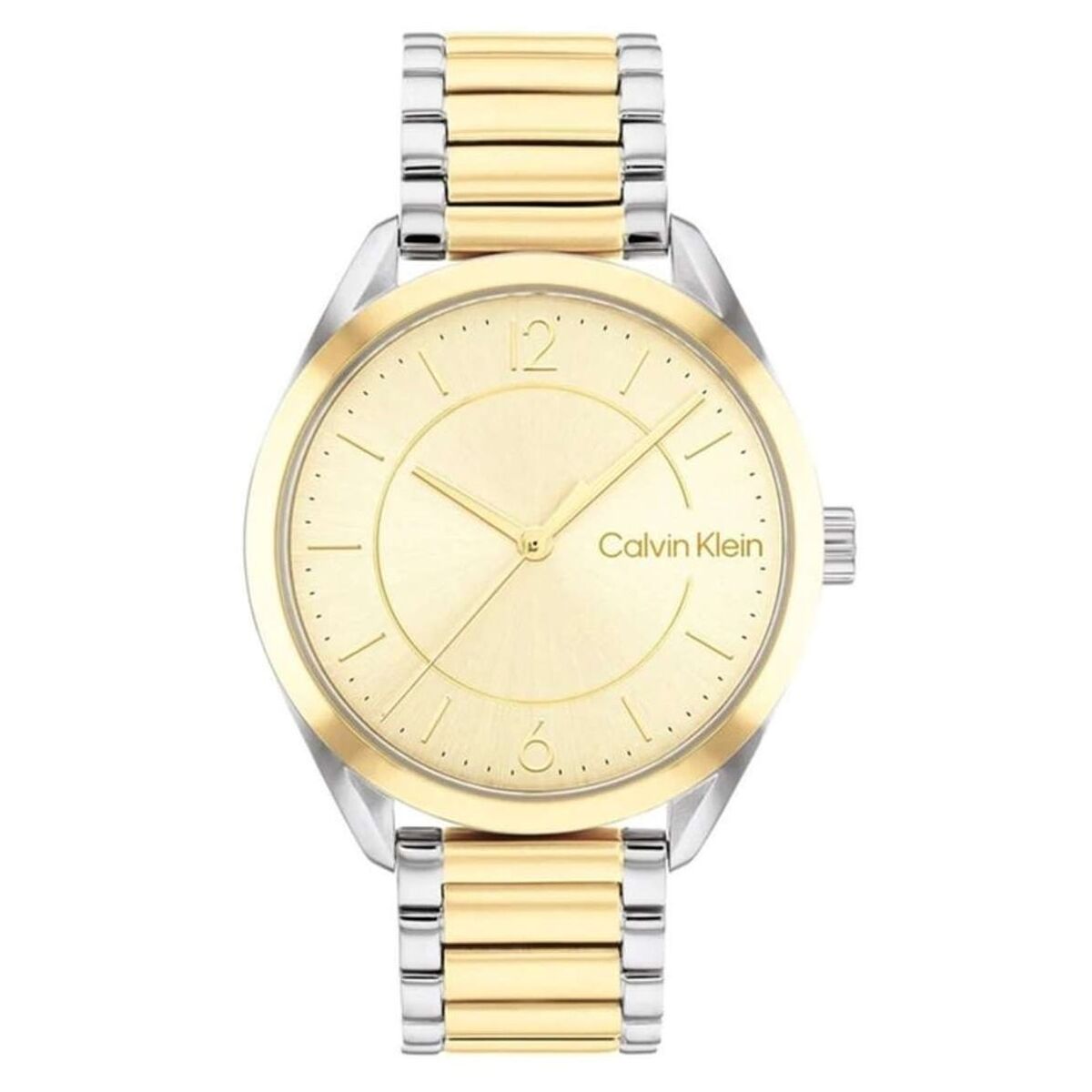 Horloge Heren Calvin Klein 25200192 Gouden (Ø 30 mm)