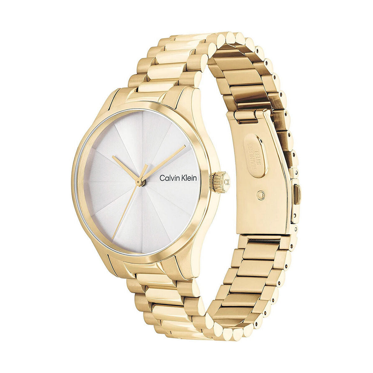 Horloge Heren Calvin Klein 25200232