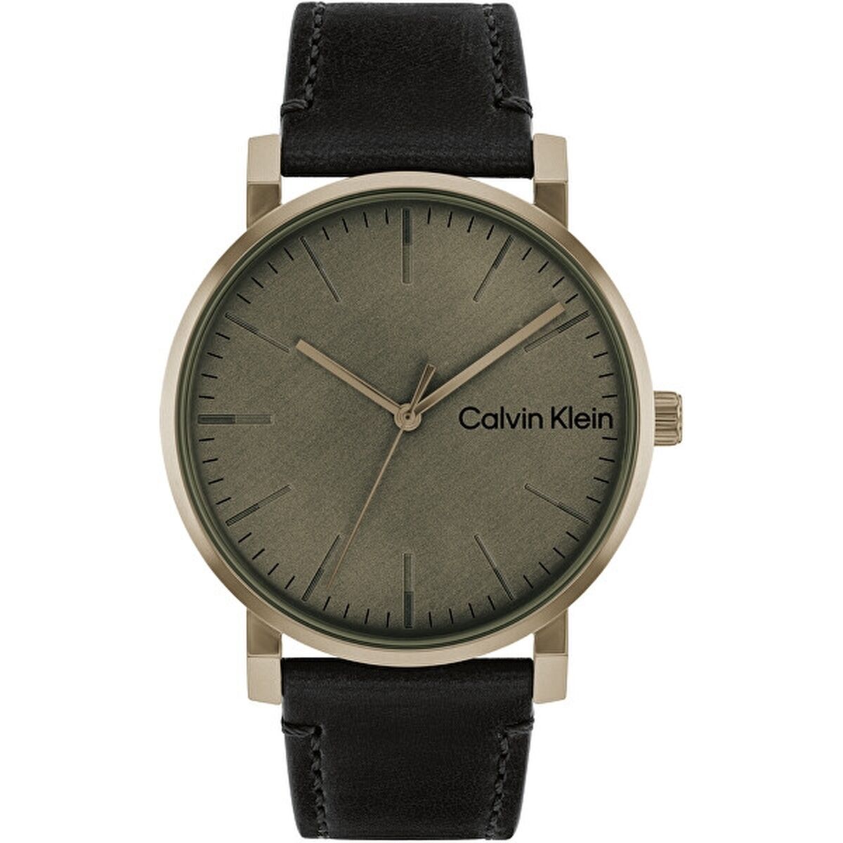 Horloge Heren Calvin Klein 25200263 Zwart (Ø 30 mm)