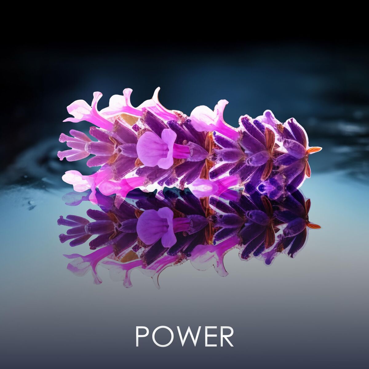 Herenparfum PHILIPP PLEIN NO LIMITS EDP 50 ml