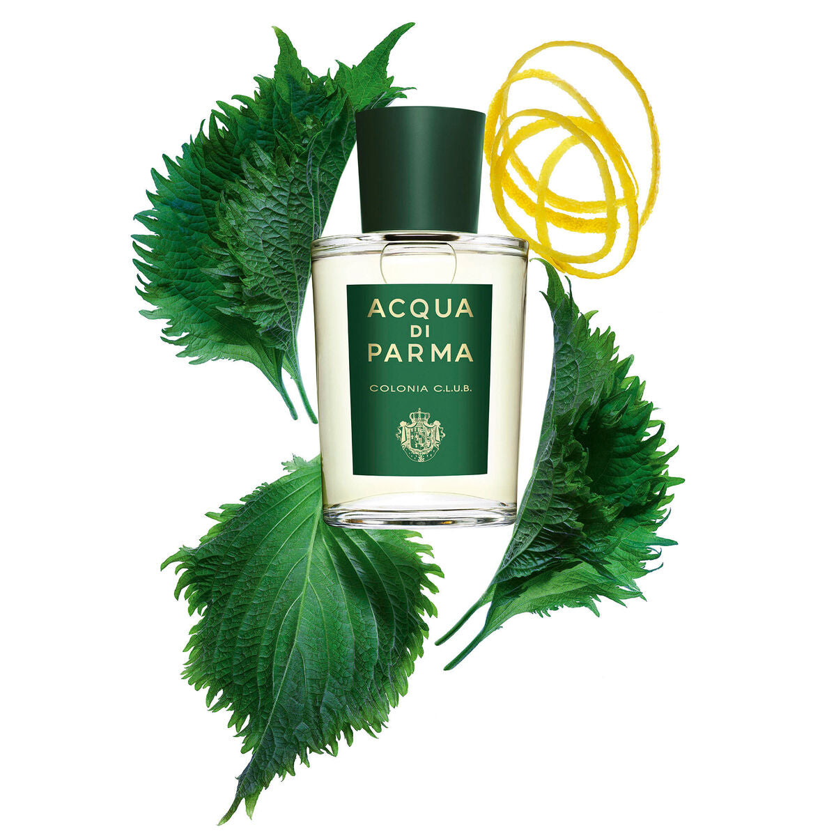 Uniseks Parfum Acqua Di Parma Colonia Club EDC 100 ml 96 g