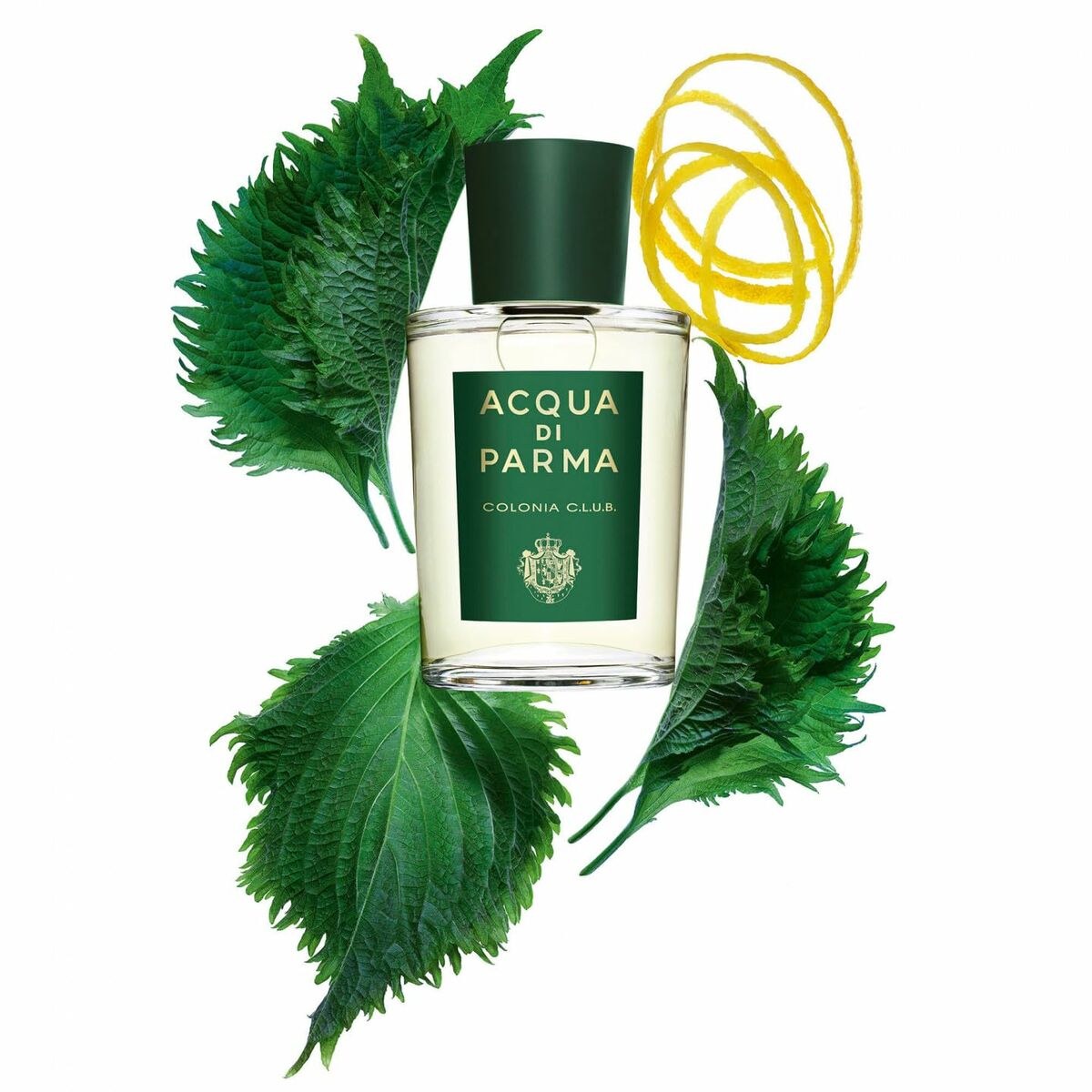 Uniseks Parfum Acqua Di Parma Colonia Club EDC 100 ml 96 g