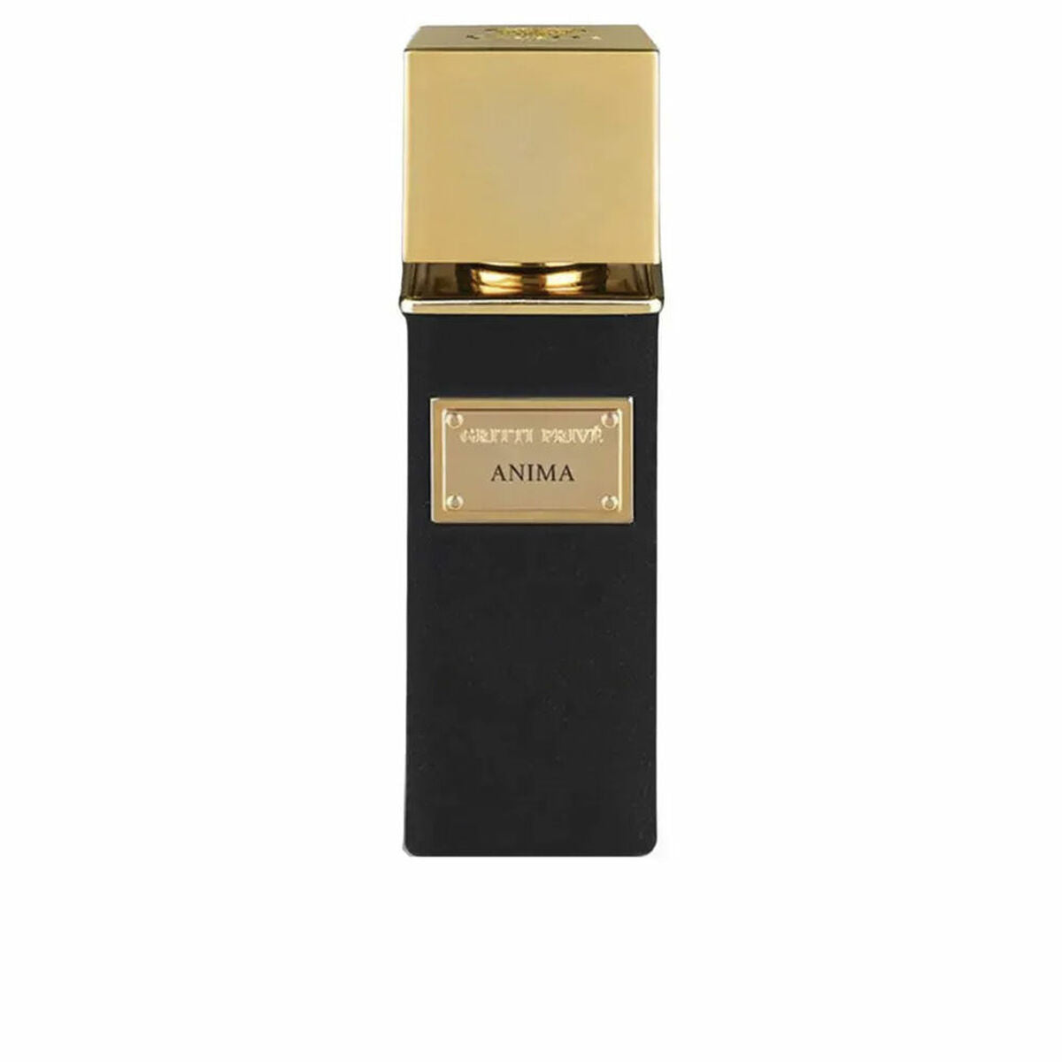 Herenparfum Gritti ANIMA EXTRAIT DE PARFUM EDP 100 ml - Schoonheid, Parfums en geuren - Gritti
