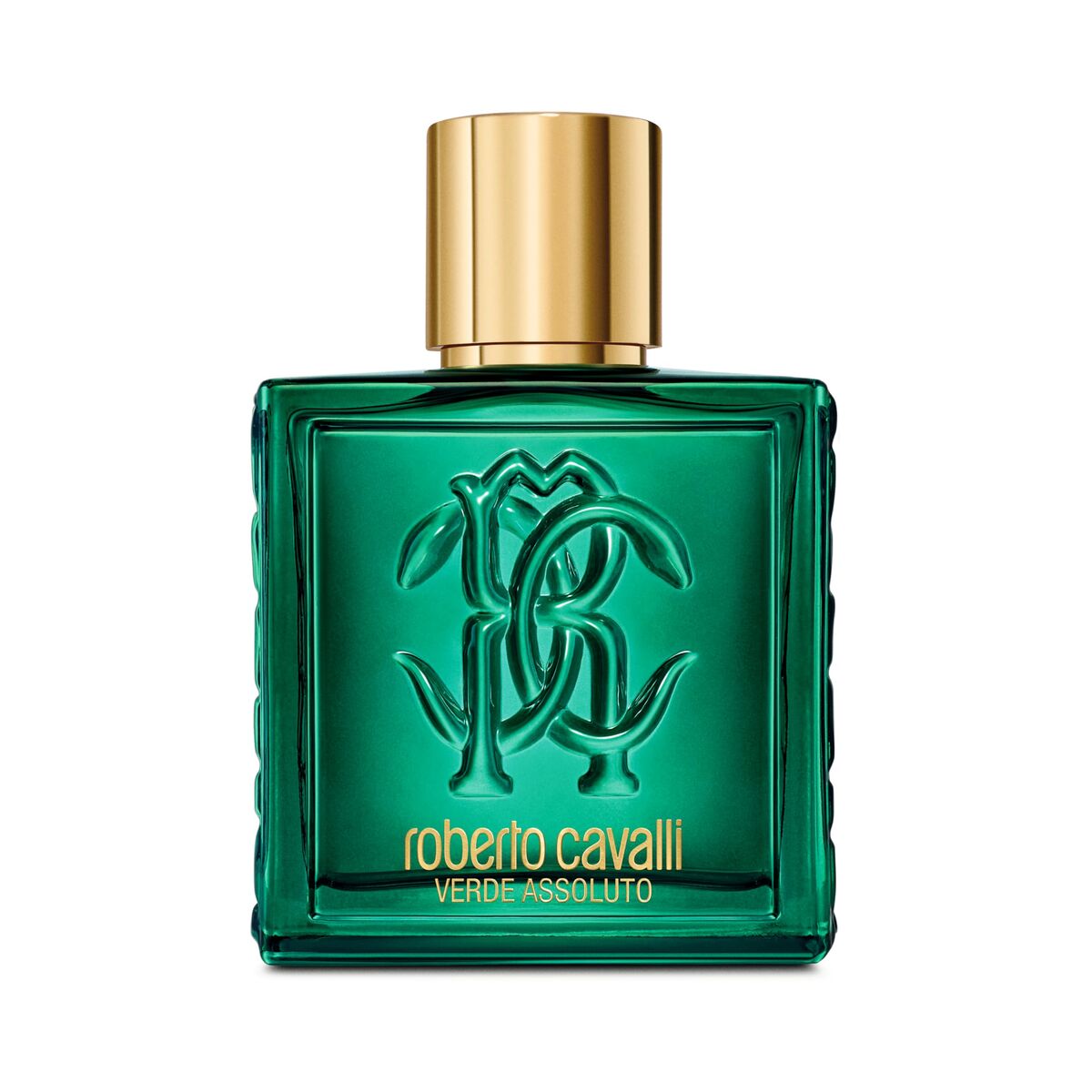 Herenparfum Roberto Cavalli UOMO ROBERTO CAVALLI 100 ml - Schoonheid, Parfums en geuren - Roberto Cavalli