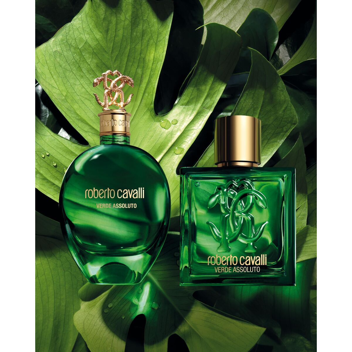 Herenparfum Roberto Cavalli UOMO ROBERTO CAVALLI 100 ml - Schoonheid, Parfums en geuren - Roberto Cavalli