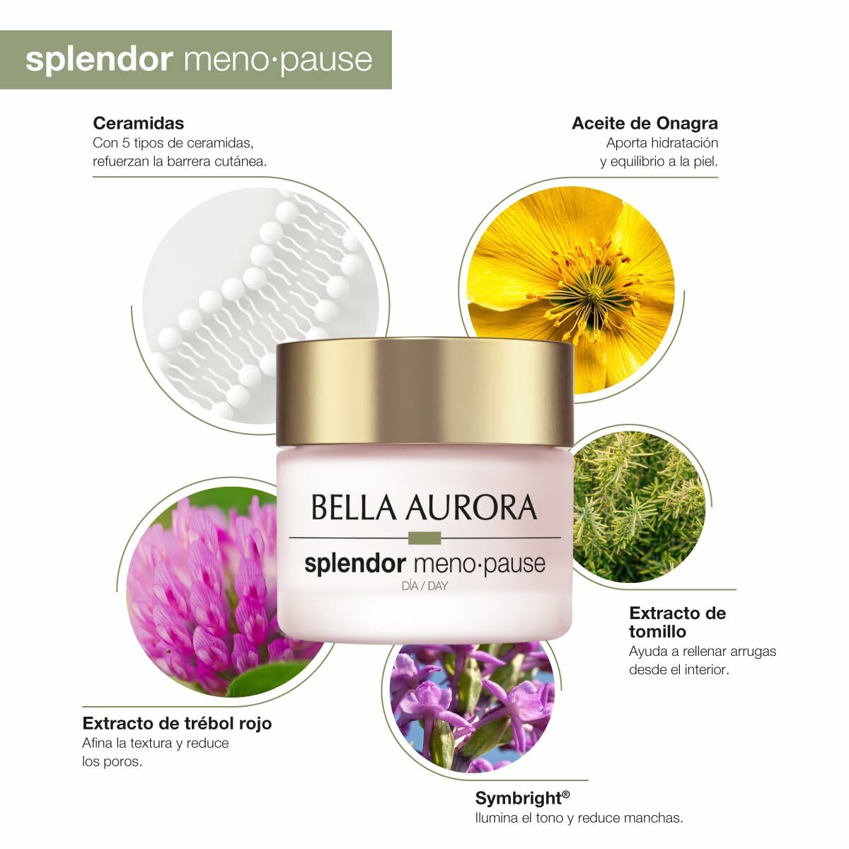 Gezichtscrème Bella Aurora BELLA AURORA SPLENDOR Spf 20 50 ml - Schoonheid, Huidverzorging - Bella Aurora