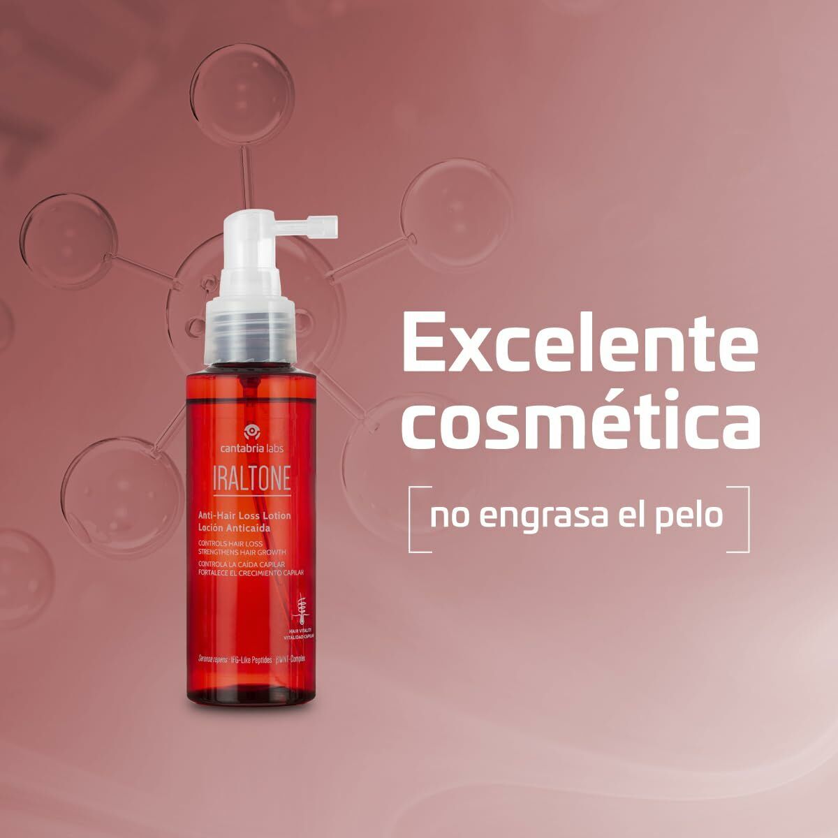 Anti - Haarverlies Lotion Iraltone IRALTONE CHAMPÚS Y LOCIONES 100 ml - Schoonheid, Haarverzorging - Iraltone