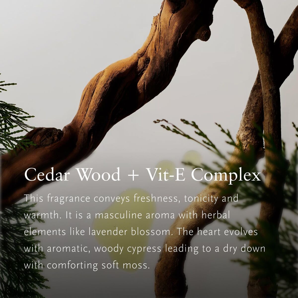 Cosmeticaset voor Dames Rituals HOMME