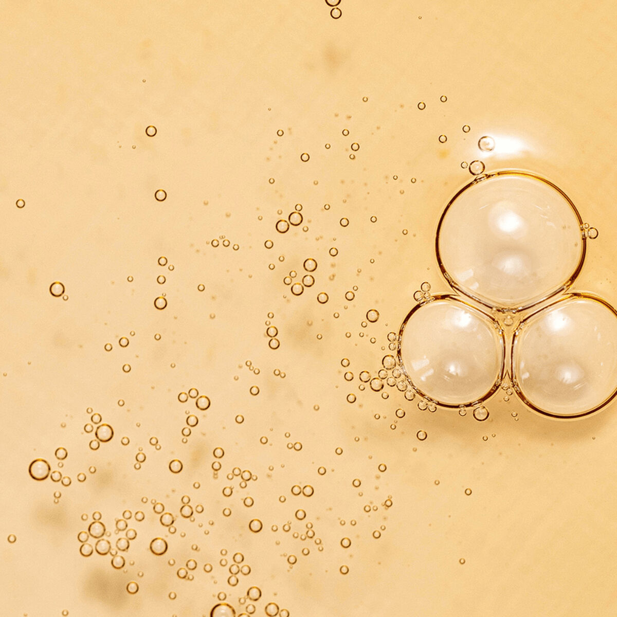 Gezichtsserum Beauty of Joseon GINSENG 150 ml