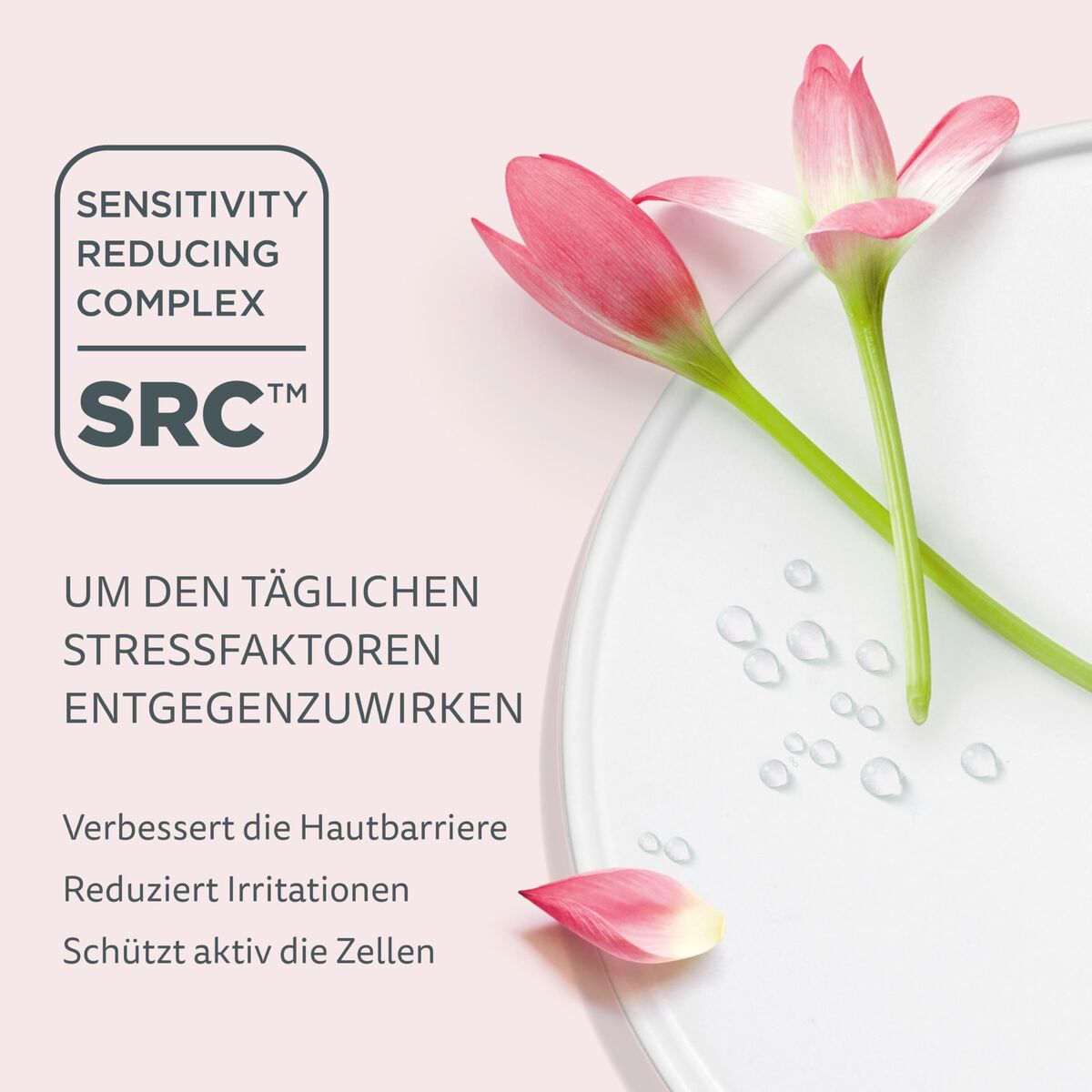 Gezichtsserum Declaré 769 50 ml