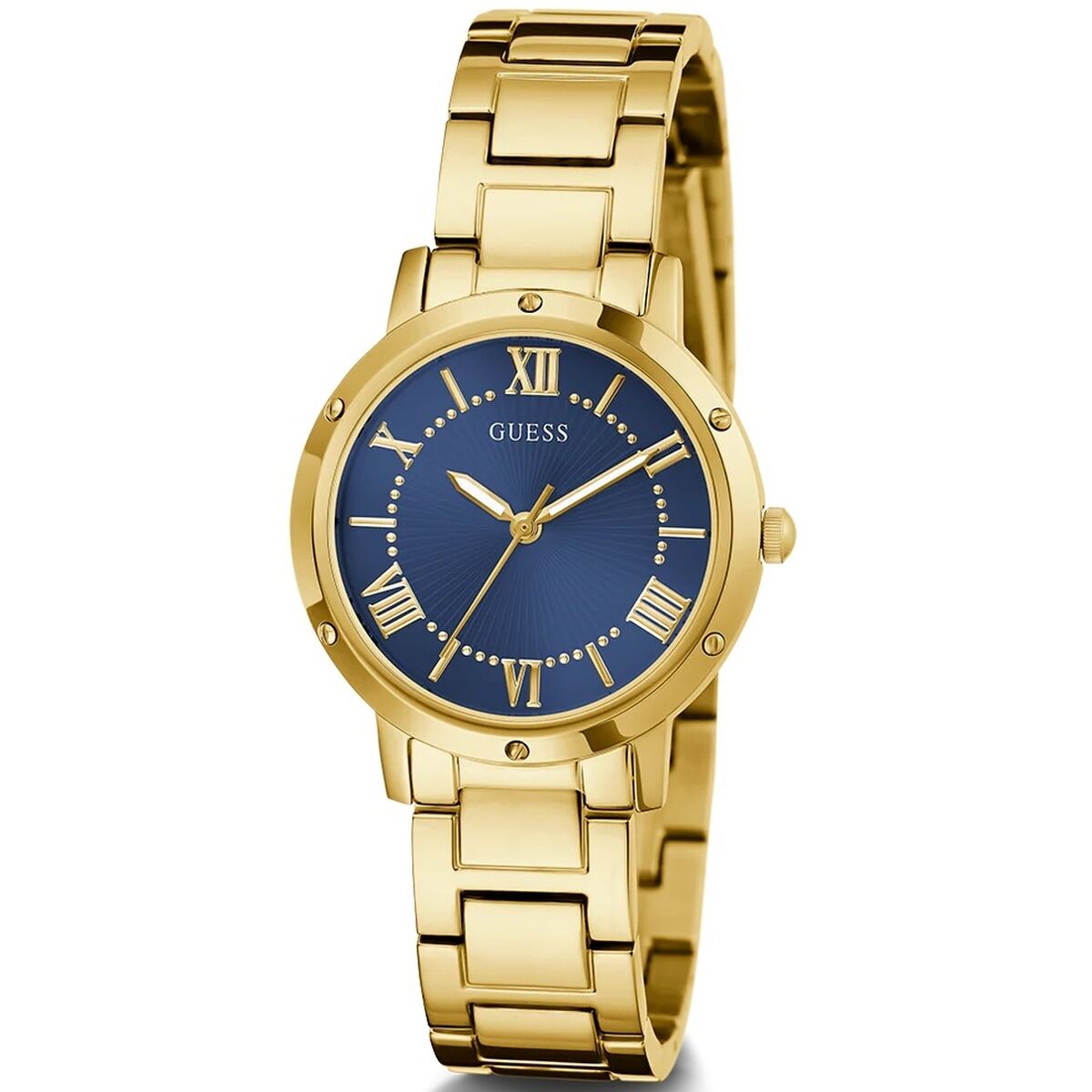 Horloge Dames Guess DAWN